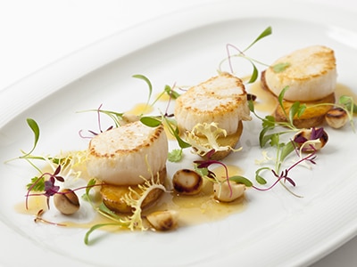 Hand Dived Scallops and Roasted Cobnut Salad, Maple Syrup Dressing