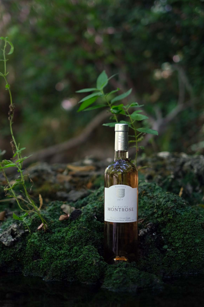 Notre Planète - Domaine De Montrose, Bernard et Olivier Coste