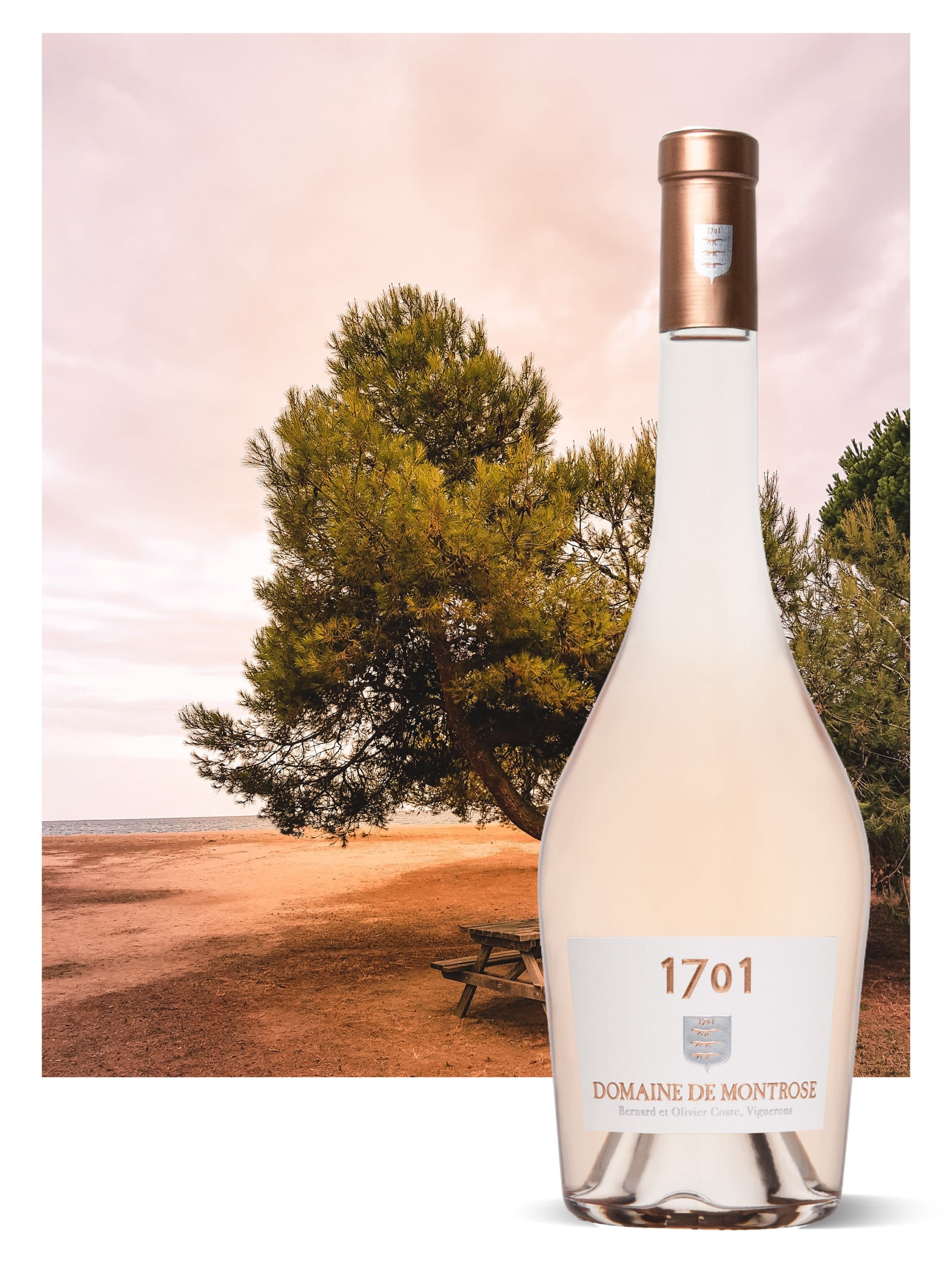 Domaine de montrose tourbes vente