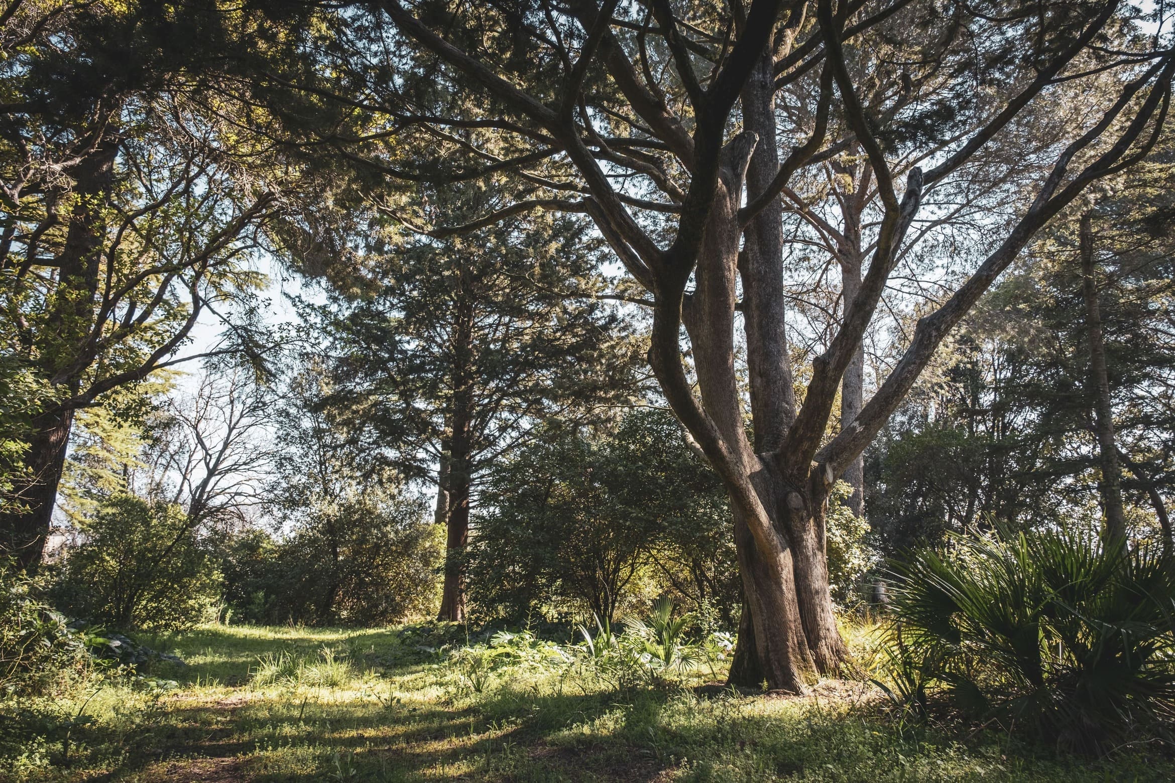 Parc Montrose