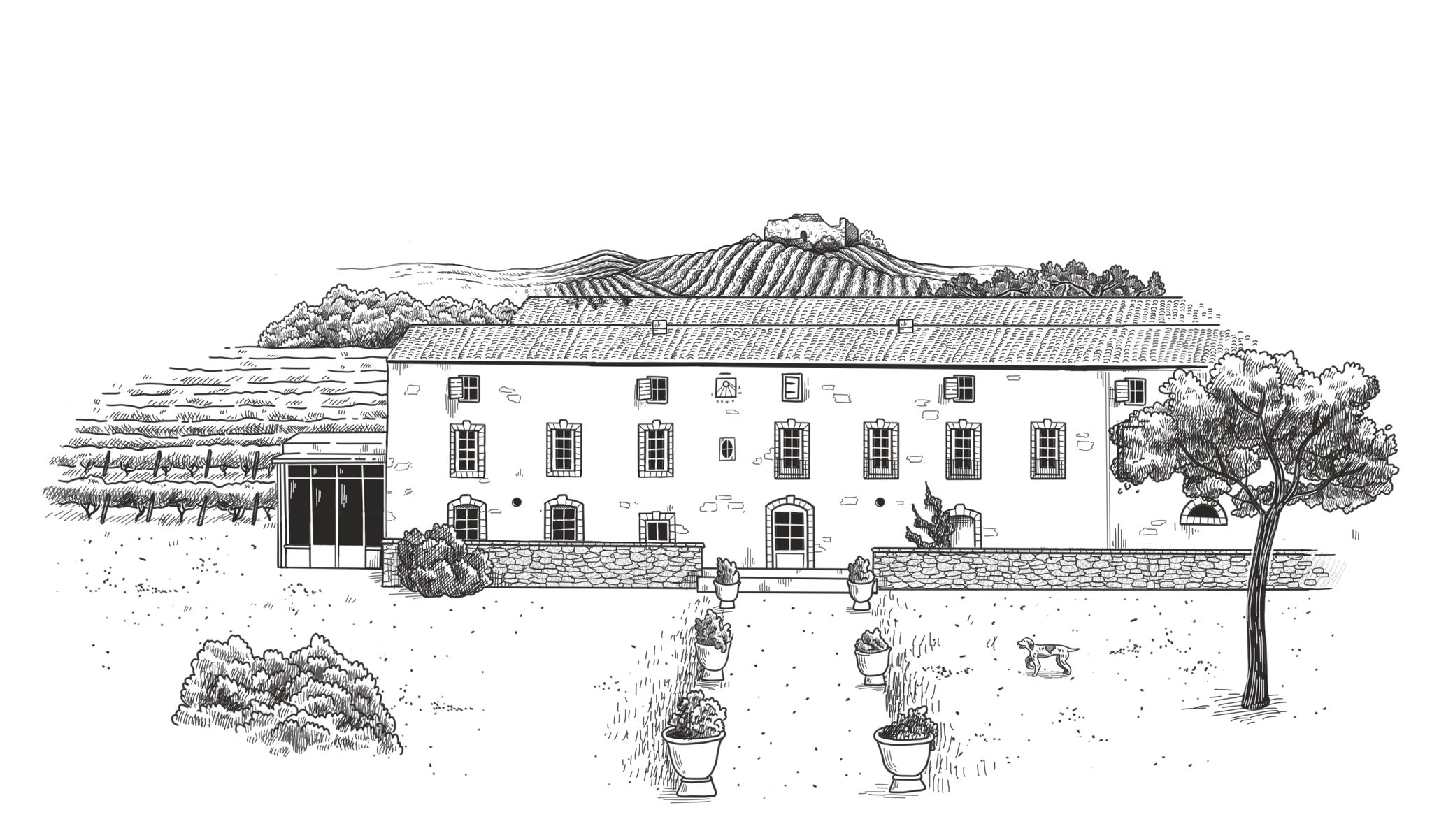 Domaine Montrose