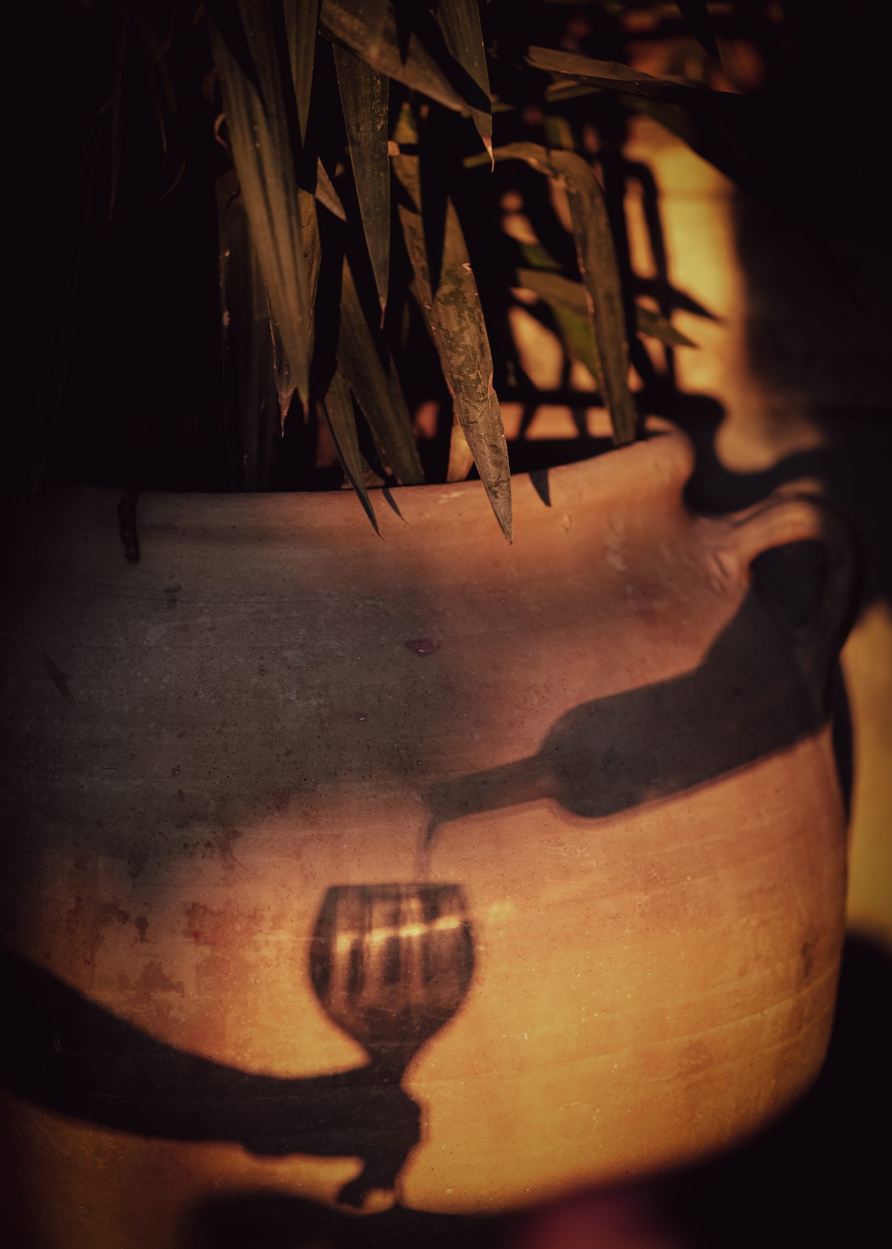 Verre et vase