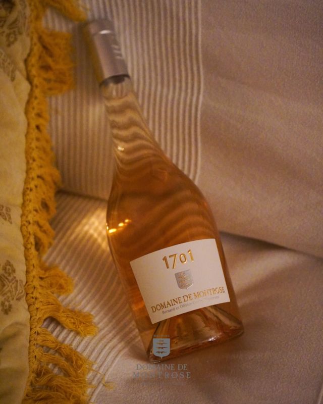 Notre rosé 1701 est parfait pour illuminer vos soirées d’automne. 

…….

Our 1701 rosé is perfect for brightening up your autumn evenings.

#domainedemontrose #languedoc #languedocwines #wineoclock #winestagram #winenot #winelove #winelifestyle #languedocwine #winemaker #vineyard #southoffrance

L’abus d’alcool est dangereux pour la santé, à consommer avec modération.