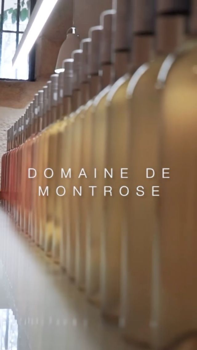 La magie de l’assemblage à Montrose. 

………………

The magic of blending at Montrose.

#domainedemontrose #languedoc #languedocwines #wineoclock #winestagram #winenot #winelove #winelifestyle #languedocwine #winemaker #vineyard #southoffrance

L’abus d’alcool est dangereux pour la santé, à consommer avec modération.