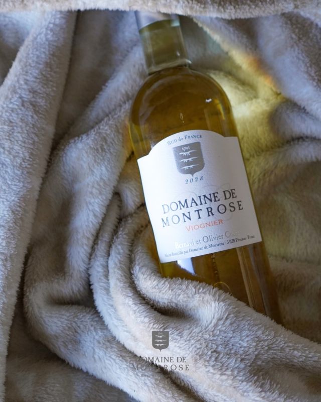 Goûter au réconfort de notre Viognier.

….

Taste the comfort of our Viognier. 

Every meal is an opportunity to celebrate family, local products, and togetherness.

#domainedemontrose #languedoc #languedocwines #wineoclock #winestagram #winenot #winelove #winelifestyle #languedocwine #winemaker #vineyard #southoffrance

L’abus d’alcool est dangereux pour la santé, à consommer avec modération.