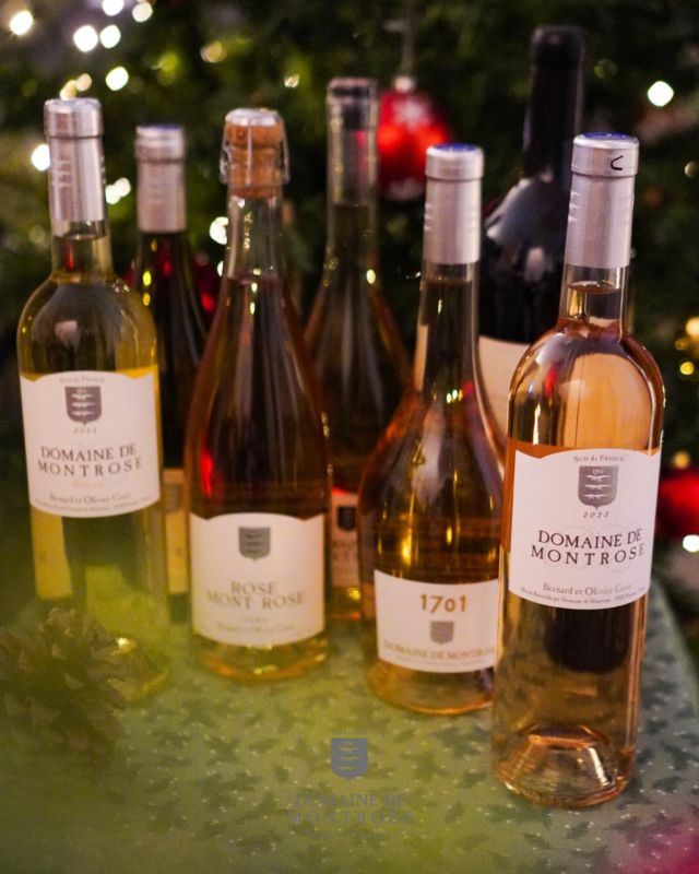 Le domaine de Montrose vous souhaite un bon réveillon ! 

…….

Domaine de Montrose wishes you happy holidays !

#domainedemontrose #languedoc #languedocwines #wineoclock #winestagram #winenot #winelove #winelifestyle #languedocwine #winemaker #vineyard #southoffrance

L’abus d’alcool est dangereux pour la santé, à consommer avec modération.