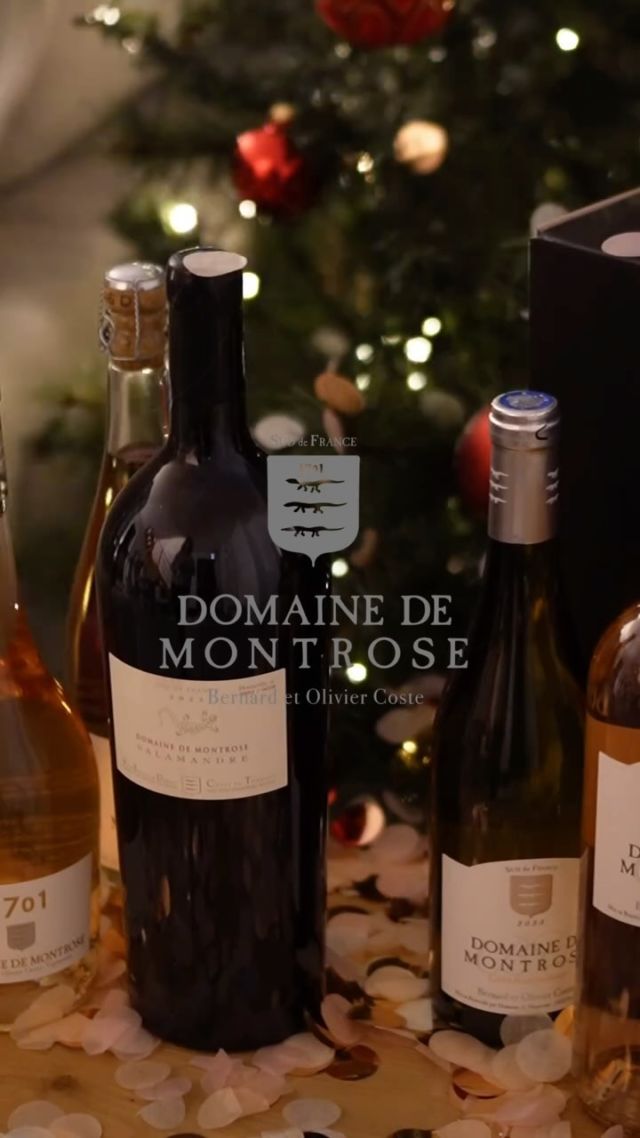 Célébrez la nouvelle année avec Montrose. ✨

………..

Celebrate the new year with Montrose. ✨

#domainedemontrose #languedoc #languedocwines #wineoclock #winestagram #winenot #winelove #winelifestyle #languedocwine #winemaker #vineyard #southoffrance

L’abus d’alcool est dangereux pour la santé, à consommer avec modération.